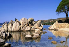 关于20年前，那个让那英甘愿“未婚生子”的前国脚高峰，如今过得怎样的信息